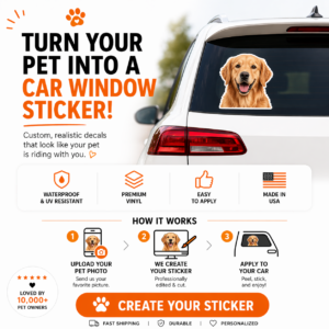 Your Pet, Peering Out: Personalized Car Window Stickers